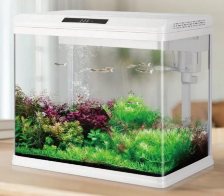 حوض سمك جديد 66 لتر <br> <span class='text-color-warm'>سيتوفر قريباً</span>